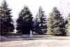 Statue Blessed Virgin Mary