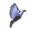 dovec.gif (38555 bytes)