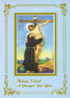 St. Francis & Christ Crucified