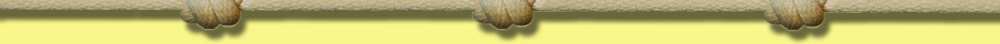 bottomknots